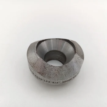 Weldolet-Lieferant aus Edelstahl F304H